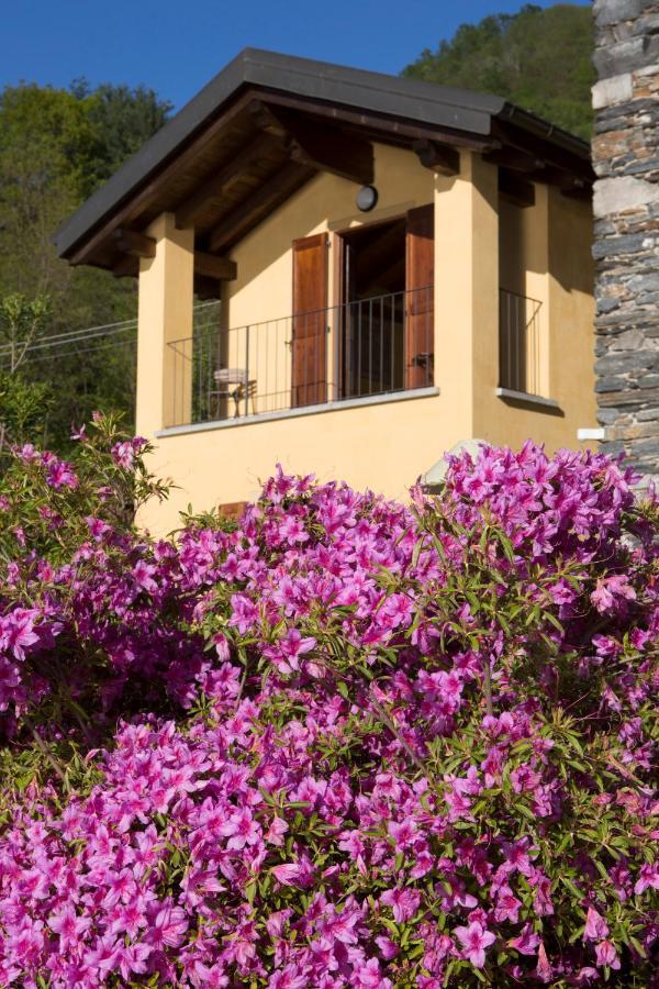 Violina Casa Vacanze Pettenasco Dış mekan fotoğraf